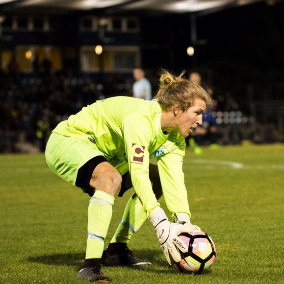 Meet your Posher, Finn - Picture 1 of 1